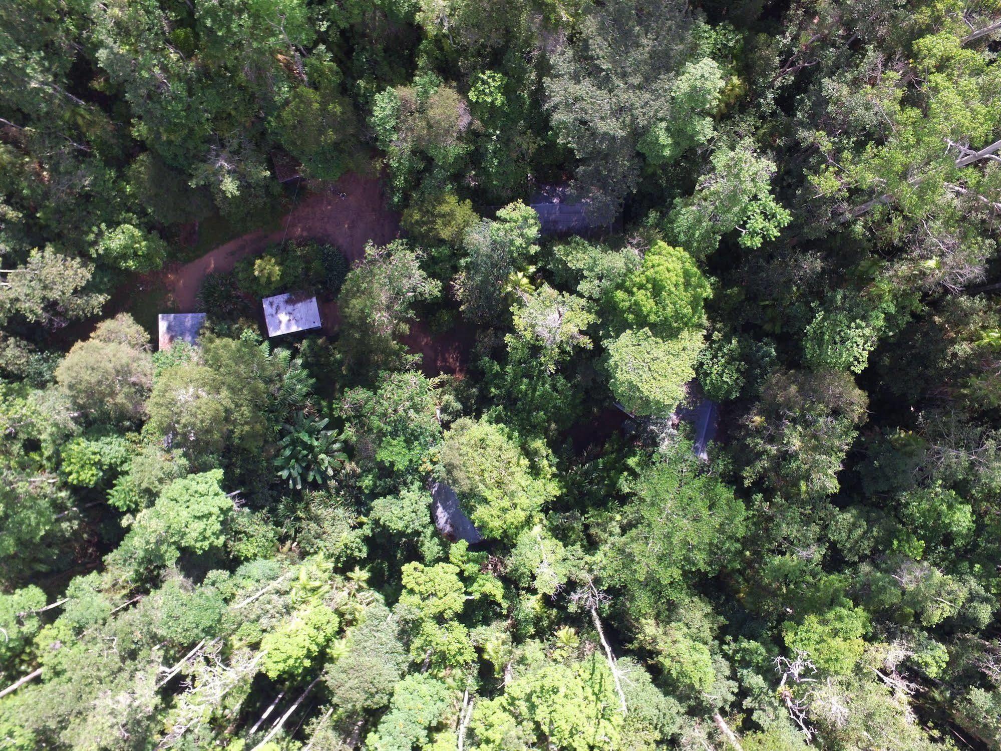 Crater Lakes Rainforest Cottages Yungaburra Eksteriør bilde